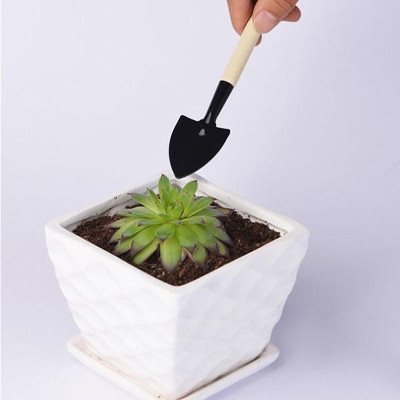 Bộ Dụng Cụ Làm Vườn Mini 3 Món (Cuốc, Xẻng, Cào) Cán Gỗ Tiện Lợi Cho Việc Trồng Chăm Sóc Cây Cảnh, Sen Đá, Xương Rồng, Bonsai