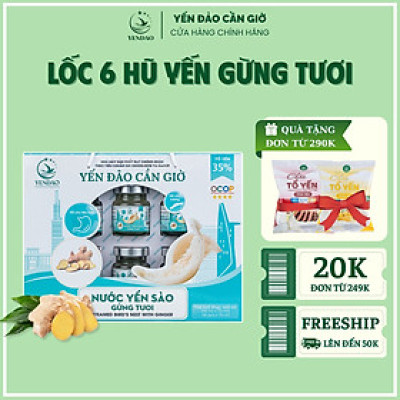 Yến Đảo - Hũ Yến Chưng Gừng Tươi Tổ Yến Xanh Bổ Dưỡng Sức Khỏe, Quà Tặng Cao Cấp 6 Lọ 70ml