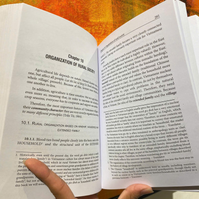 Sách - Discovering the Identity of Vietnamese Culture by Trần Ngọc Thêm - Ngoại văn Văn hóa Việt Nam