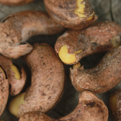 Combo Hạt Sen Sấy Hải Long (230g) + Hạt Điều Rang Muối Vỏ Lụa Hải Long (250g)